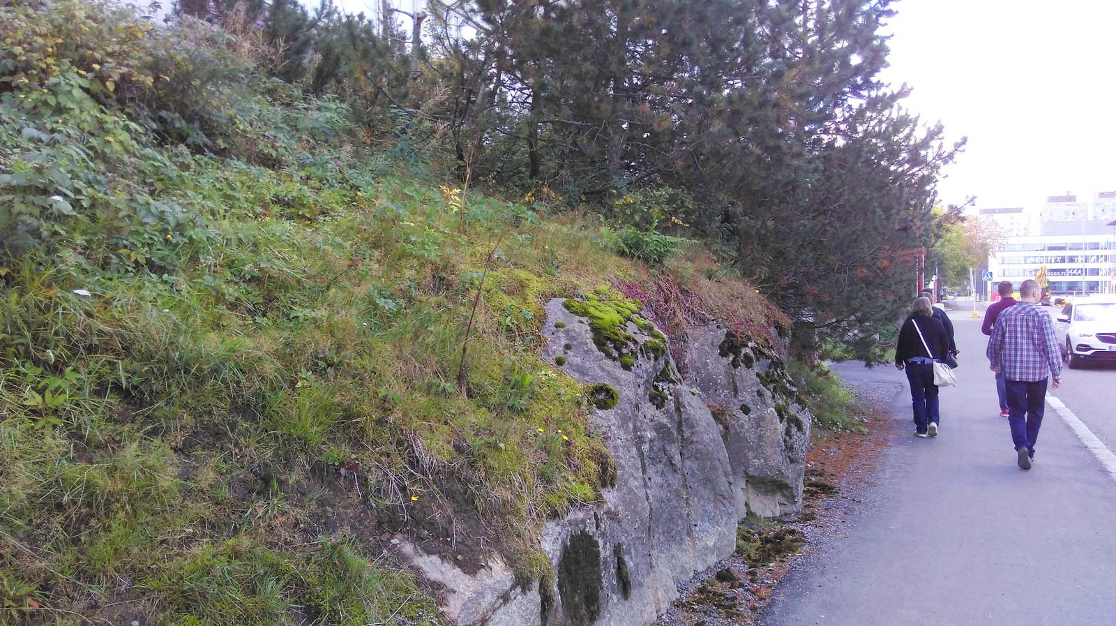 Finnish nature - rocks and moss